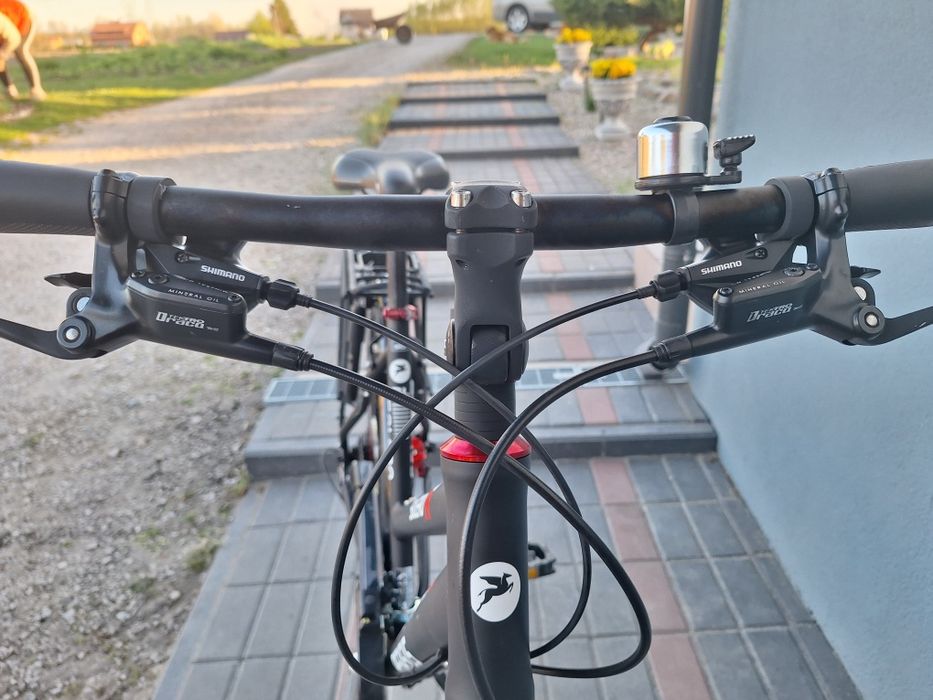 Rower Pegasus Solero