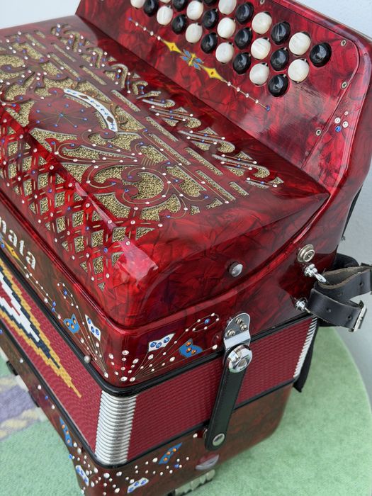 Concertina como nova