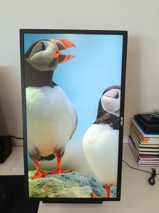 Monitor Gaming ASUS VG245Q