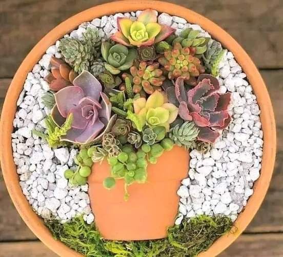 Jardineiro e manutenção de piscinas