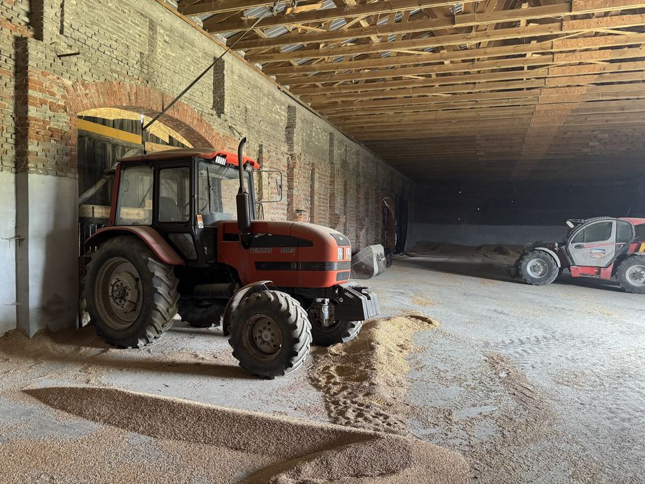 Ciacoagnik rolniczy mtz belarus