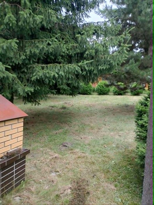 Działka ROD "Słoneczny Stok" Suchy Las