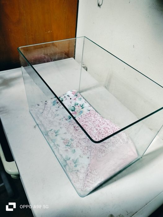 Aquário de 30 litros