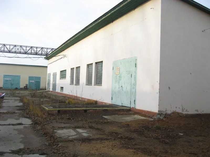 Комплекс переробки деревини, 1726 кв. м, вул. Миколи Микитюка, 103