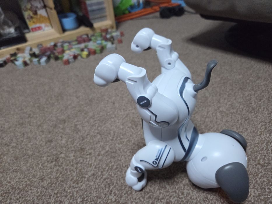 Piesek zdalnie sterowany.