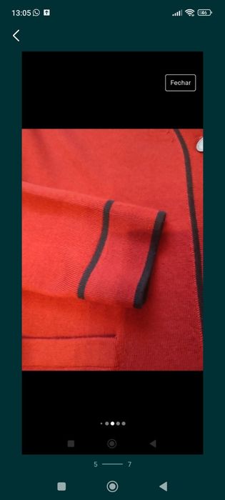 Cardigan Lion of Porches XS