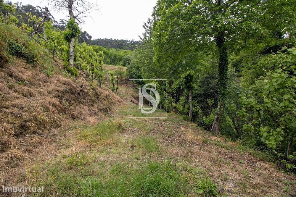 MORADIA T2 COM 5800M2  em Bustelo,  Amarante