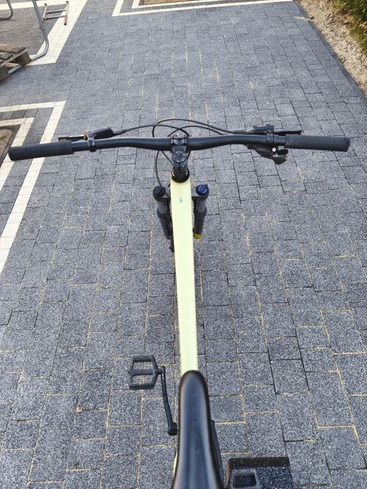 Marin Bobcat Trail 4 2023