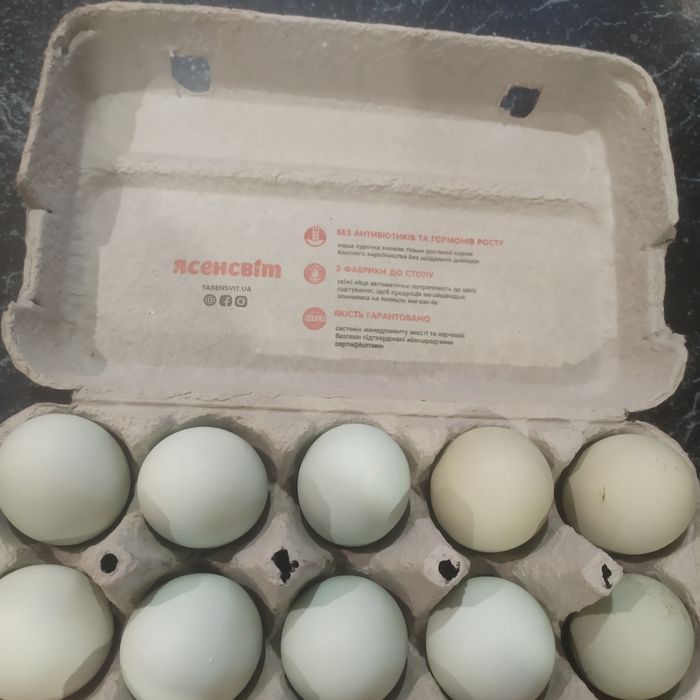 Ія мішаних курей