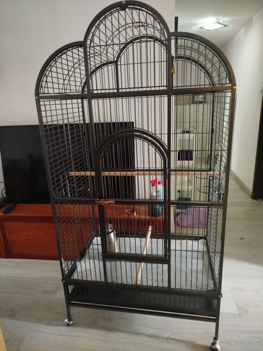 Gaiola para passaros