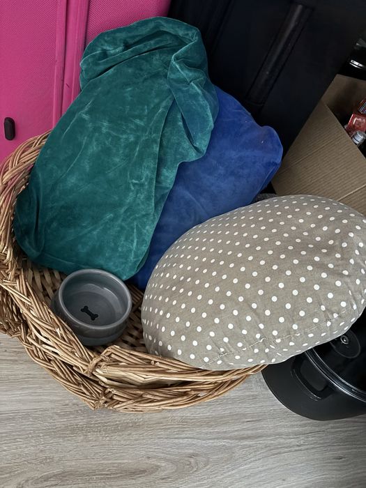 Kosz , legowisko dla psa lub kota