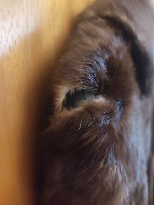 Casaco vintage em pele genuína L