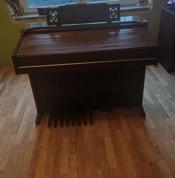 Organy elektryczne