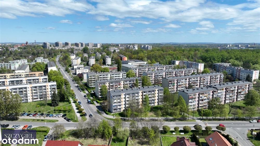 Zdjęcie 3