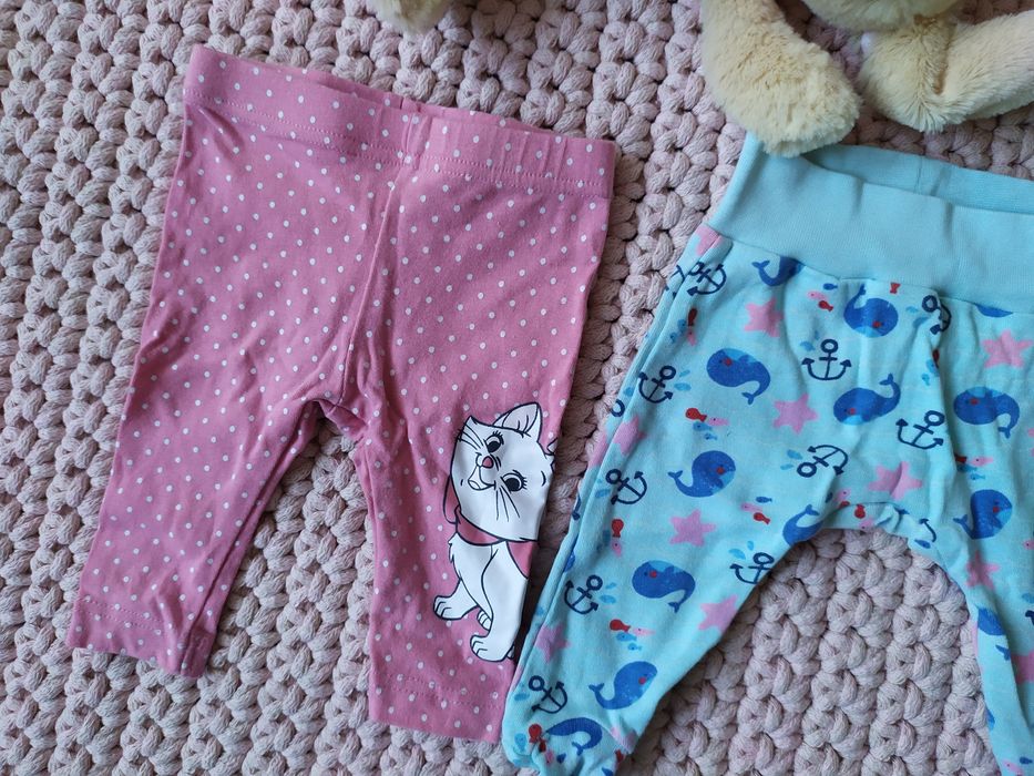 Zestaw 2 szt niemowlęcych spodenki legginsy półśpiochy 56 Disney Pepco
