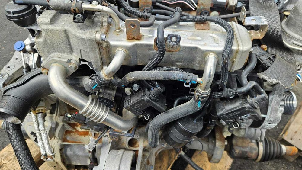 Chłodnica spalin zawór EGR Opel Antara 2.2 CDTI VCDI Z22D1 25185316 Siedlce