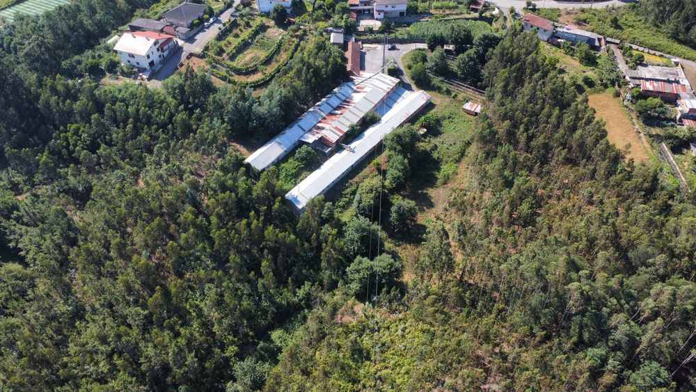 Vendo Monte, Armazem e Terras