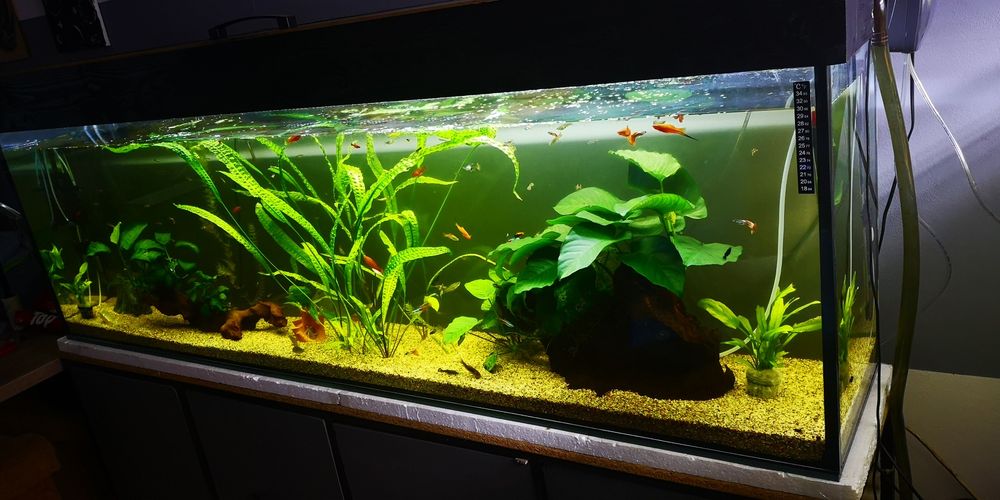 Akwarium 350 L + stelaż