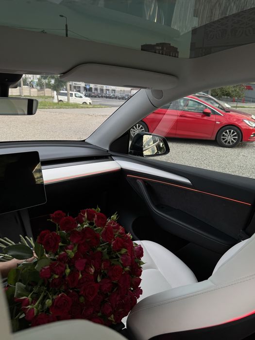 Продам Tesla Model Y 2023р модельного