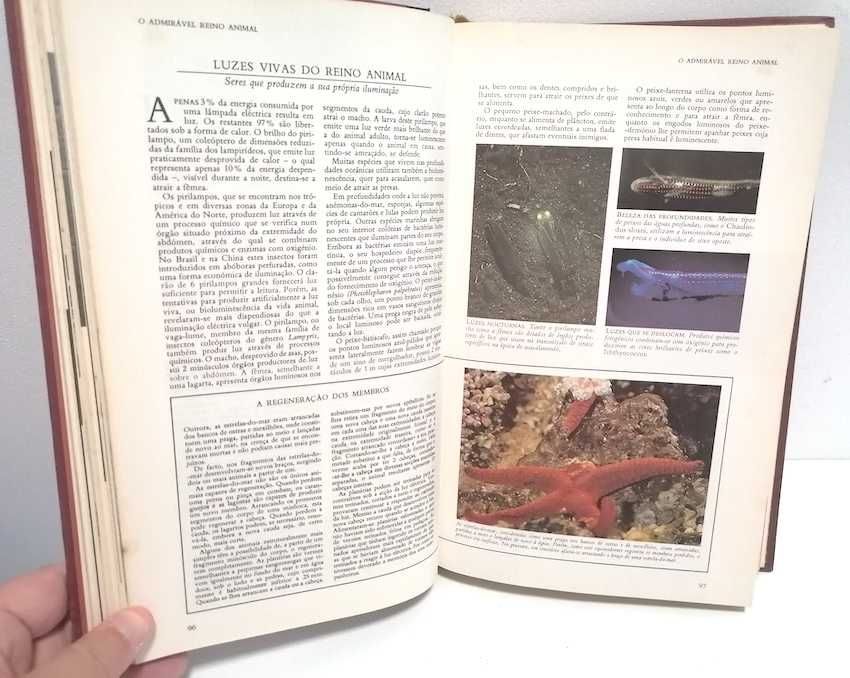 O Grande Livro do Maravilhoso e do Fantástico. Seleções do Reader's Digest