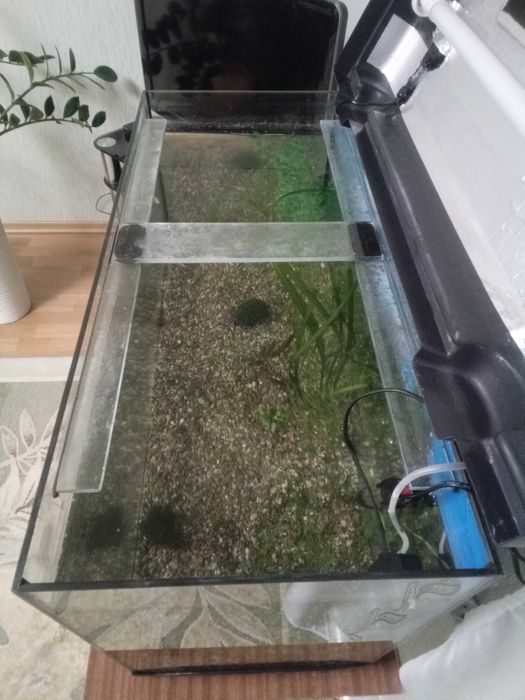 Акваріум 150л. 800х500х350.