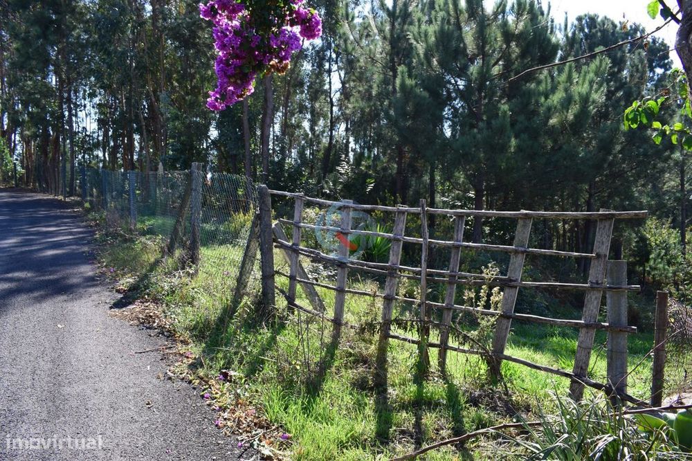 Terreno c/ Viabilidade de Construtiva