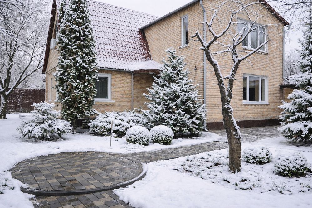 Будинок в лісовій Бучі