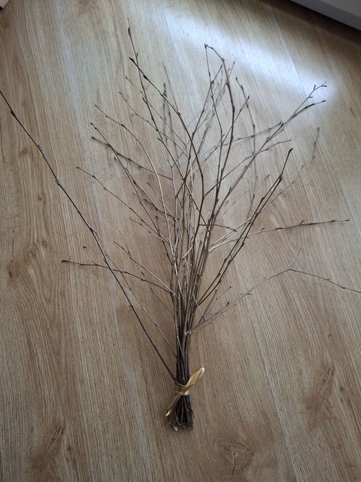 Rózga, gałązka brzozowa, dekoracja, ozdoba,