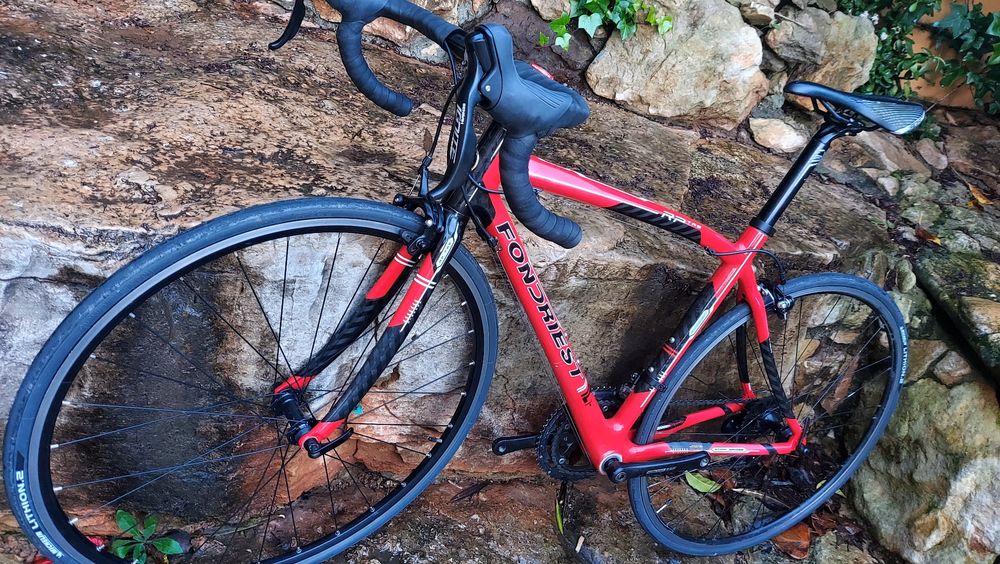 Carrera e Fondriest Tree carbono oportunidades t54 e t52