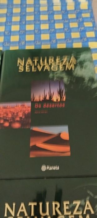 ( ÚLTIMA OPORTUNIDADE ) Tenho para venda esta enciclopédia