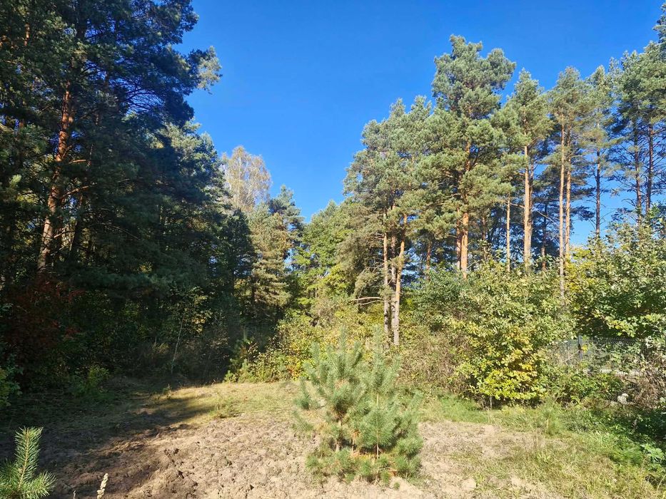 Wyjątkowa działka budowlano-kempingowa - Widok 3