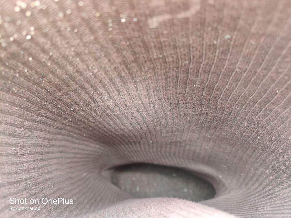 Сапоги резиновые