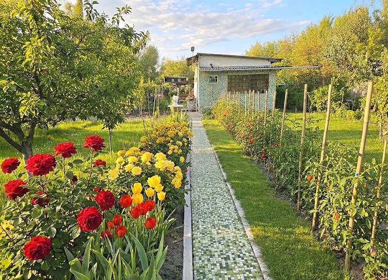 Ogródek działkowy ROD • Całoroczny z piwnicą • Działka ROD Zorza