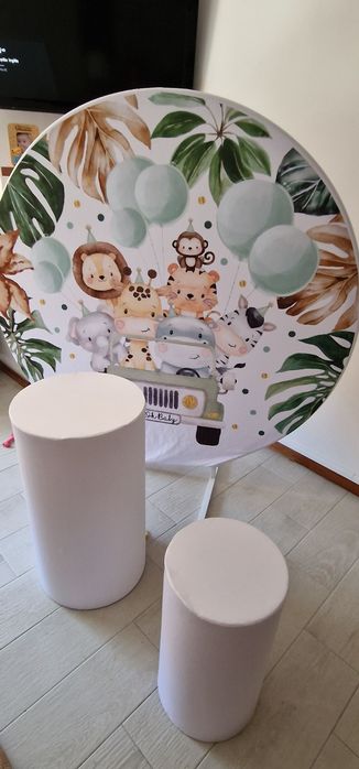 Decoração Safari para alugar