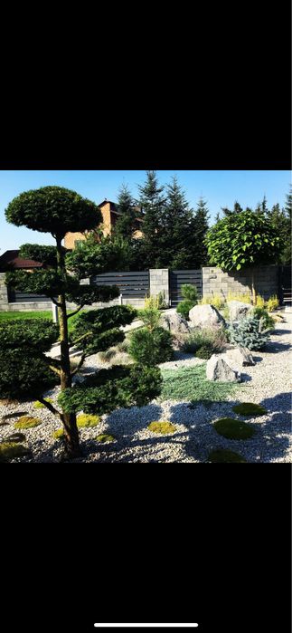 Zakładanie ogrodów nawodnienia roboty koszące trawniki