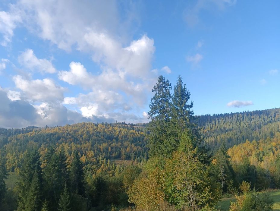 Біла хижа. Ідеальний відпочинок в Карпатах з дітьми. Будинок в горах.