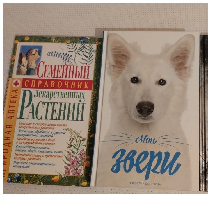 Книги разные. Недорого.