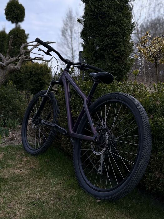 Rower Kellys  whip 10