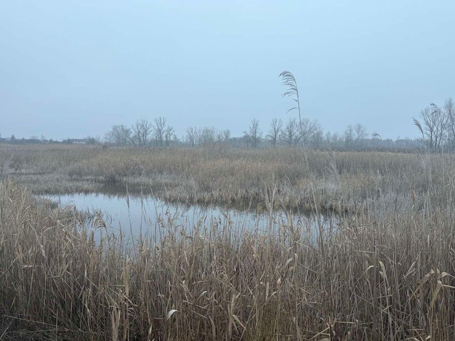 Продам дім в с. Піщанка