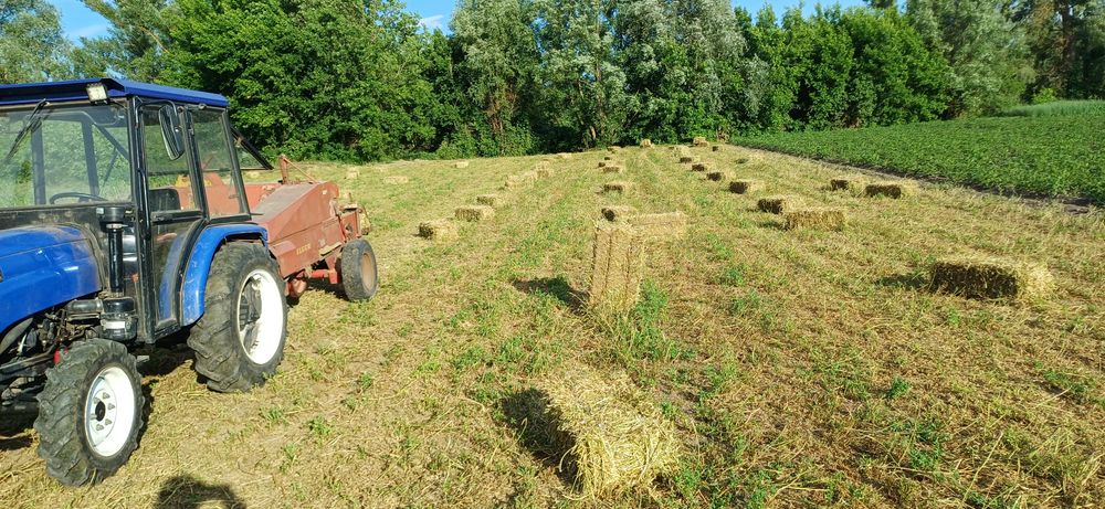Сіно люцерна в тюках.