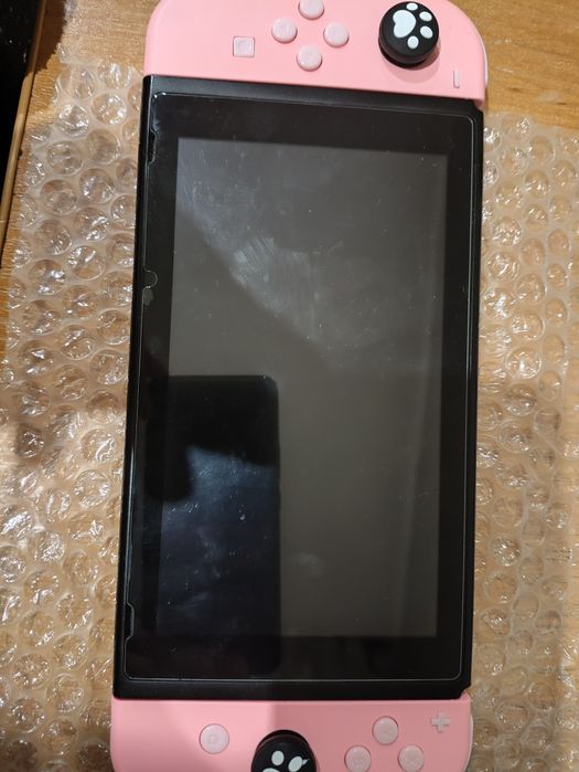 Nintendo switch kefir v2