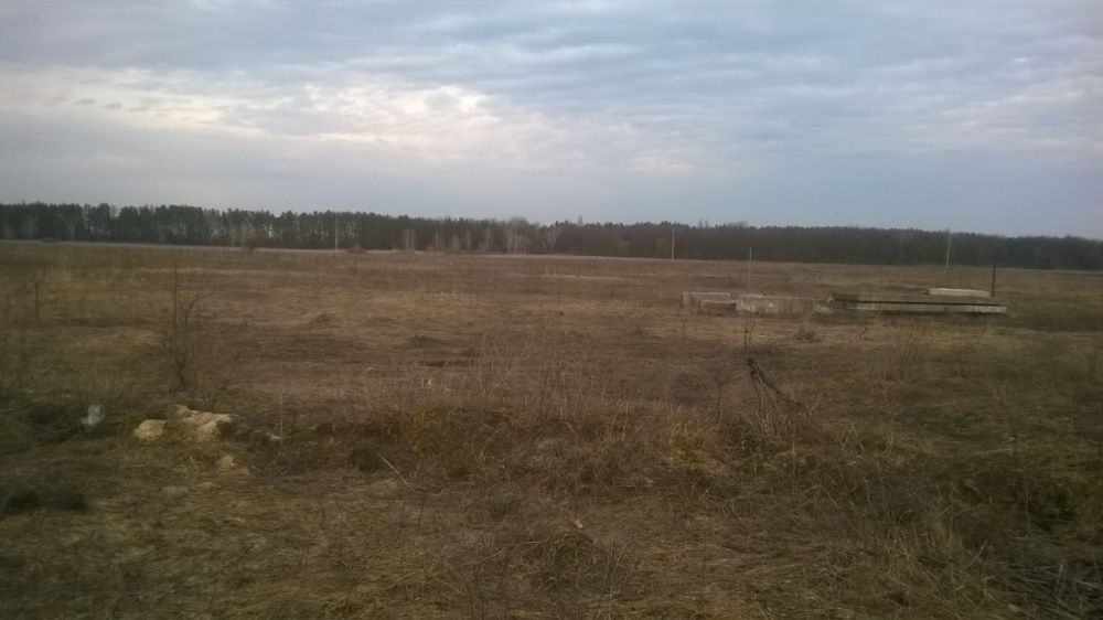 Ділянка 12,5 соток у Свидівку — готова до будівництва будинку.