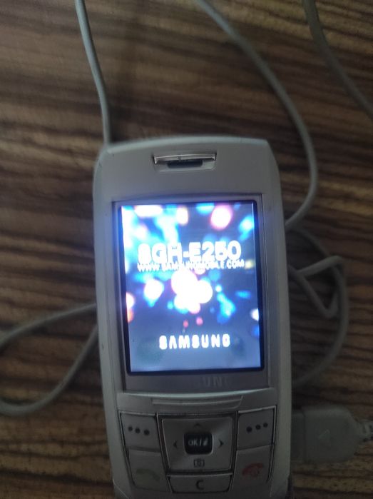 Samsung sgh-e250