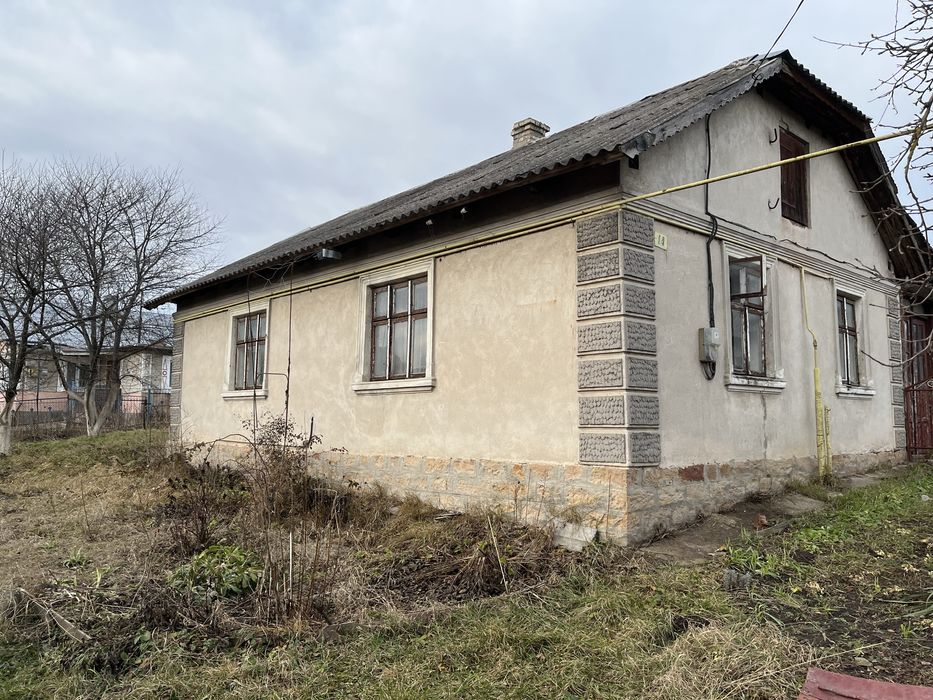Будинок з земельною ділянкою 12.3 сотих с.Петриків