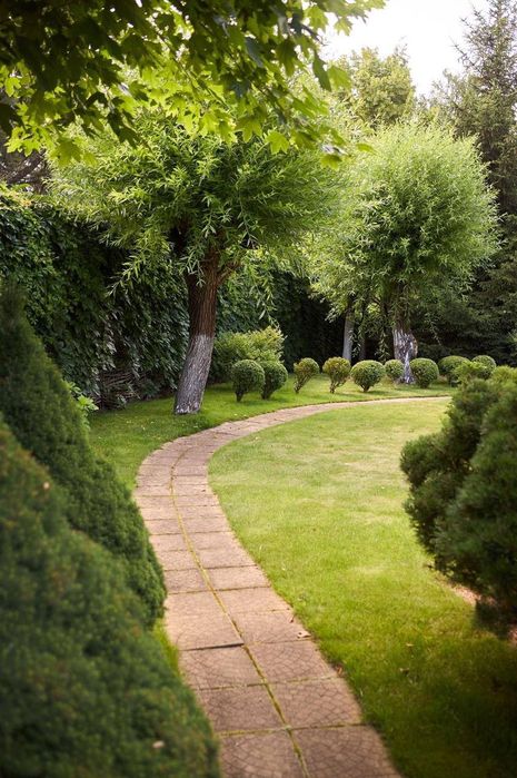 Продам дом Орловщина свой берег возле леса