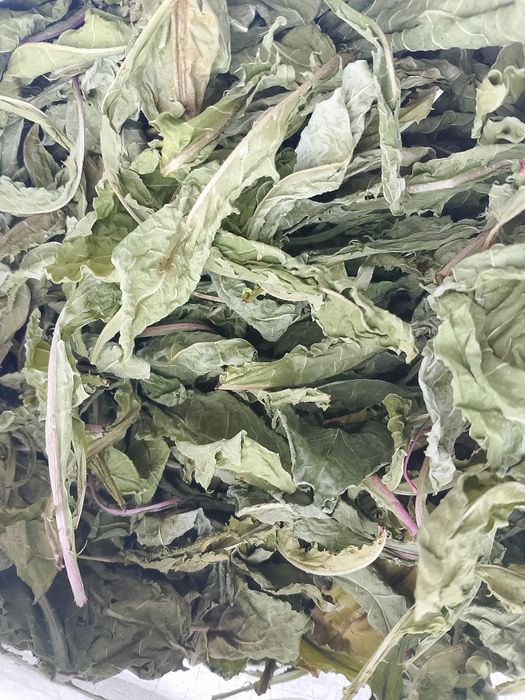 Продаю лікарські рослини: звіробій, парило, грицики, лист кульбаби