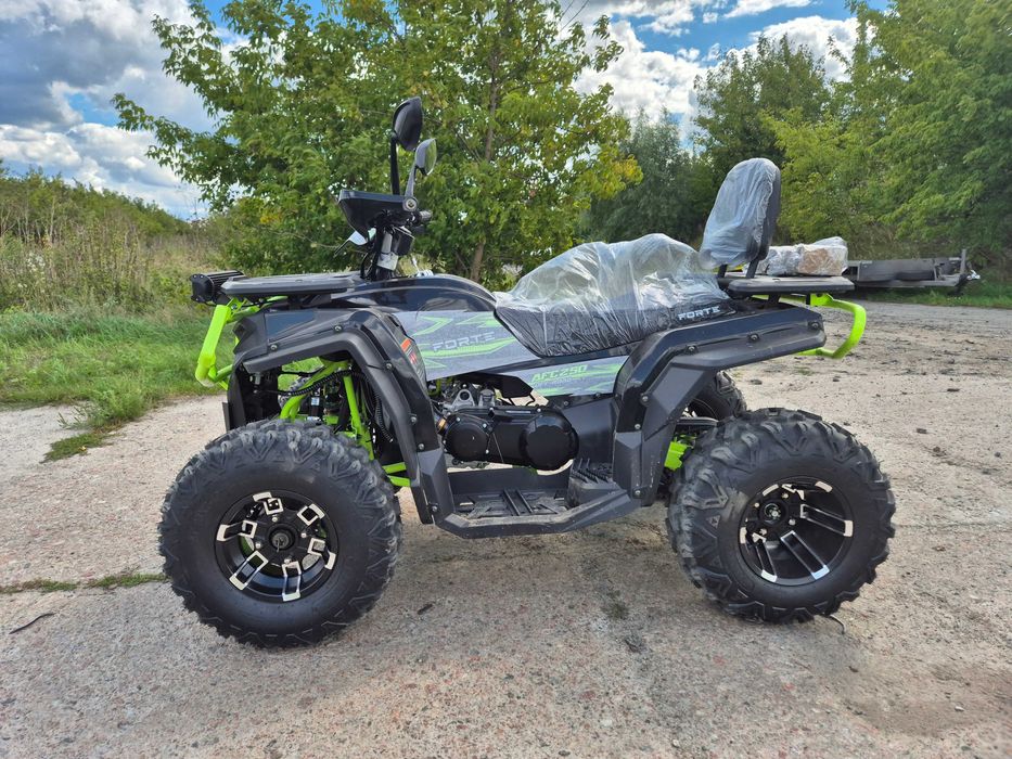 Квадроцикл Forte 250 AFC 2025