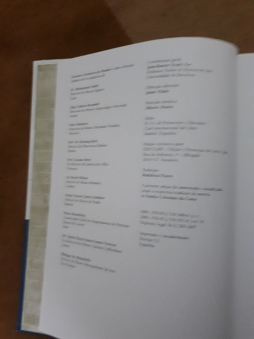 Livro o despertar do renascimento