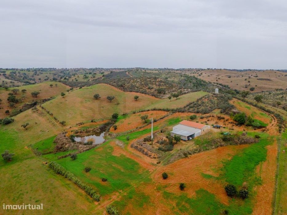 Herdade com setenta e dois hectares em Vila Nova de são Bento