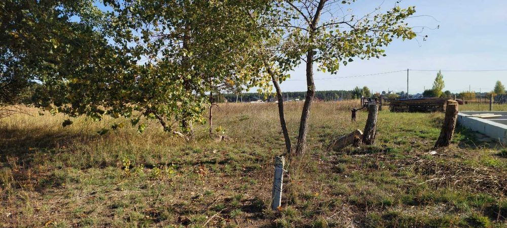 Біля лісу, Старі Петрівці, 11.5 соток для будівництва